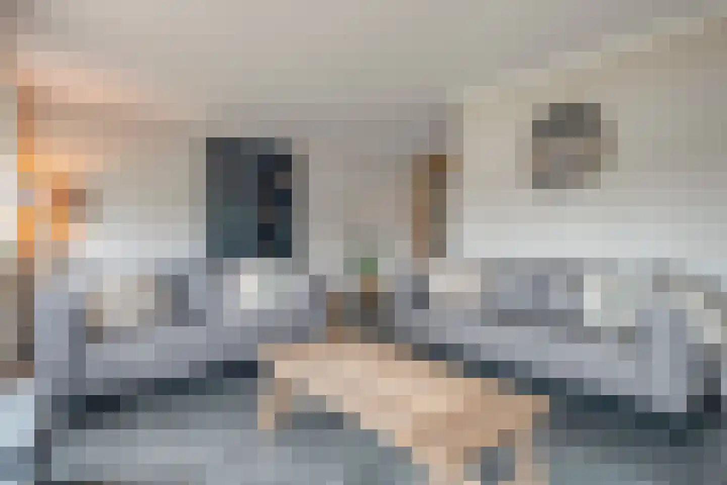 Westerweg 8 h Beerzerveld thumbnail 19