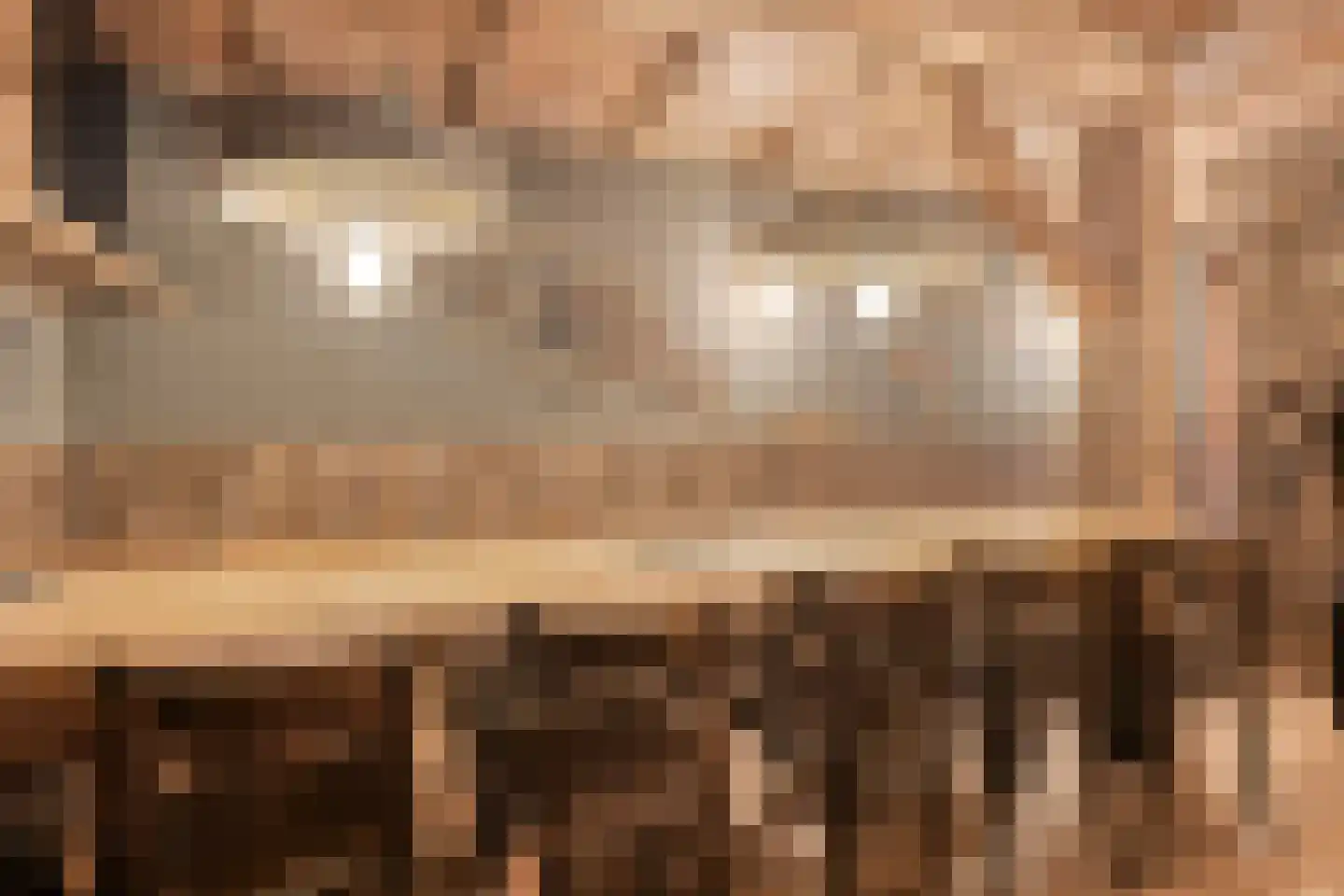 Westerweg 8 h Beerzerveld thumbnail 45