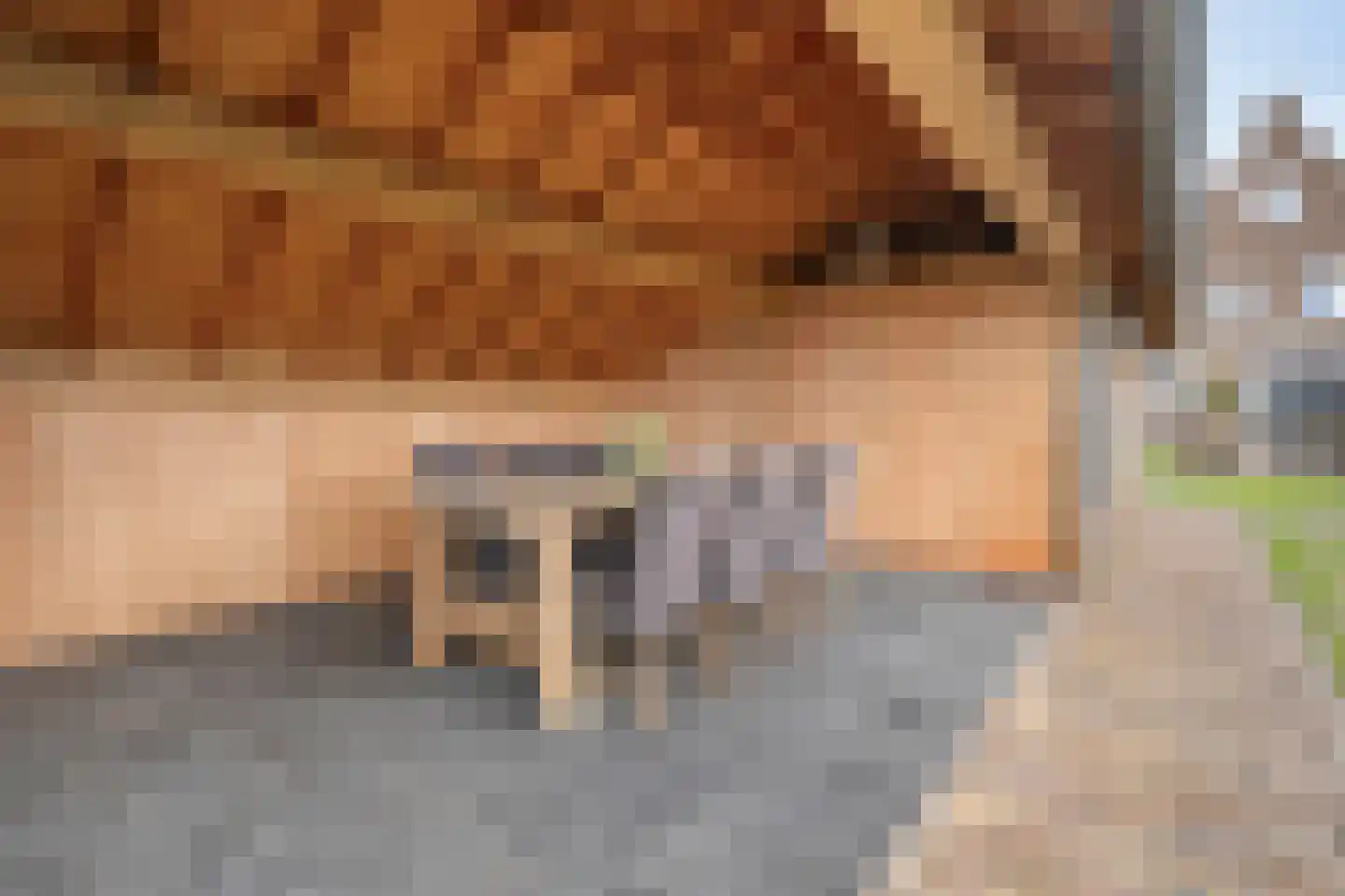 Westerweg 8 h Beerzerveld thumbnail 46