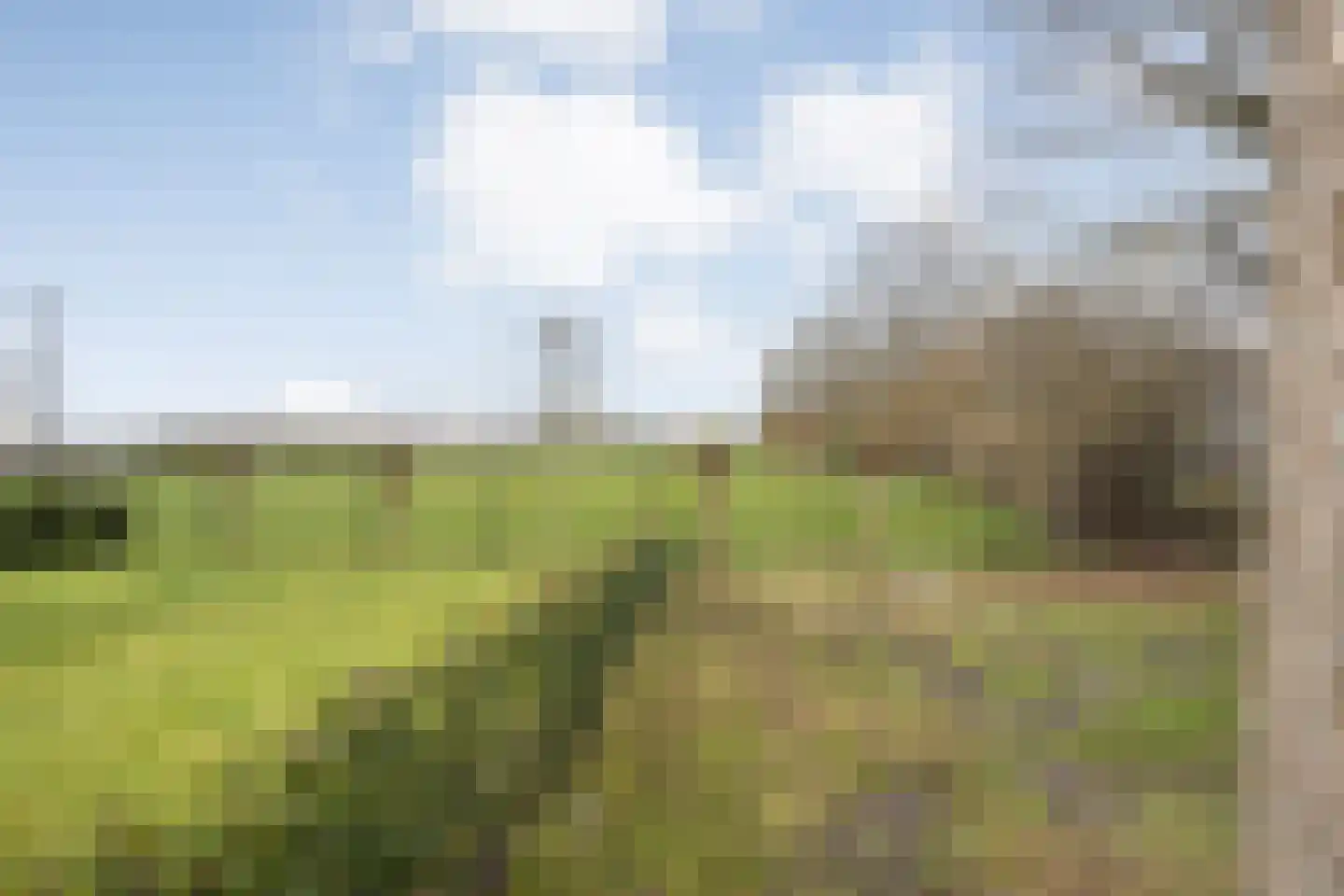 Westerweg 8 h Beerzerveld thumbnail 55