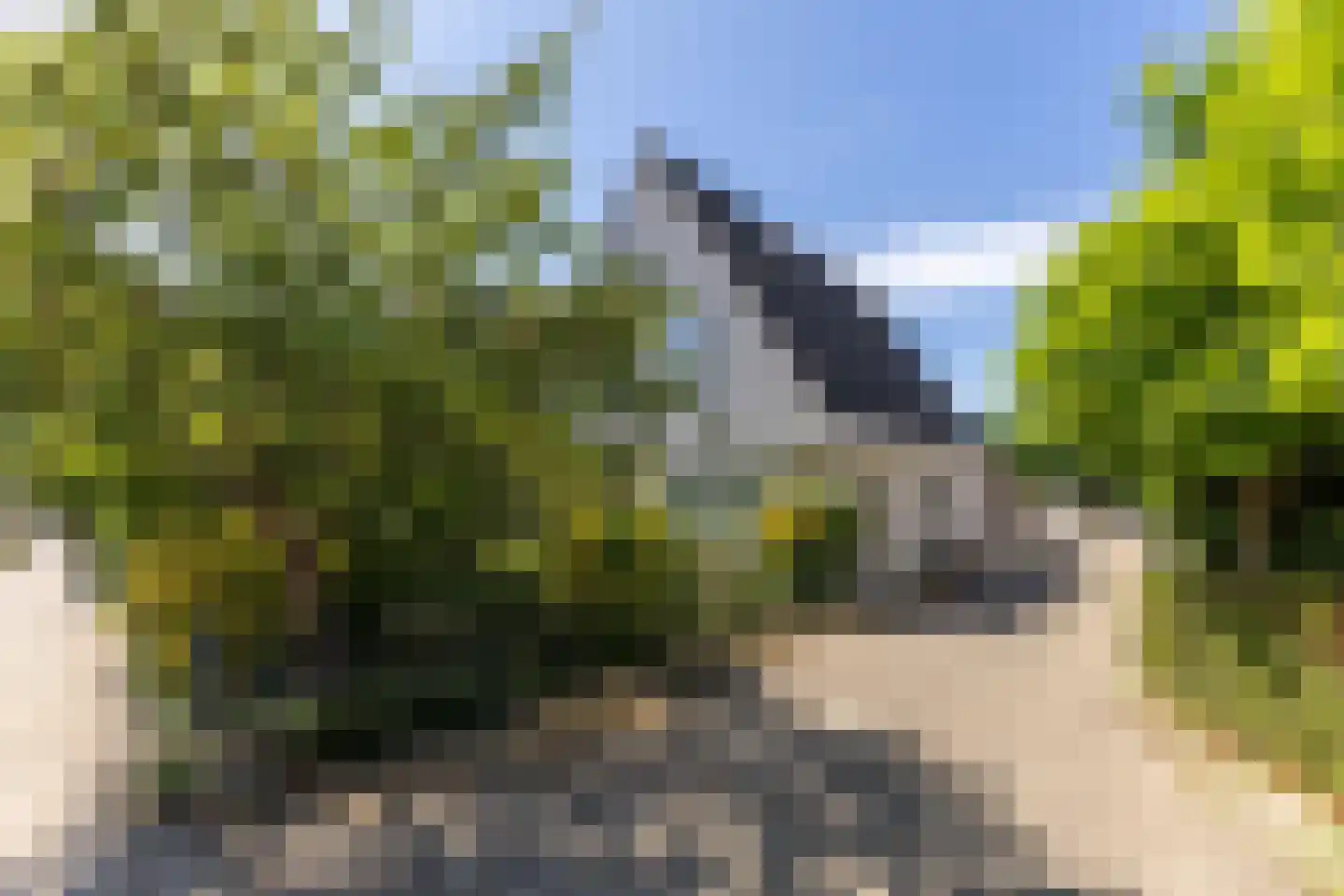 Westerweg 85 Heiloo thumbnail 30