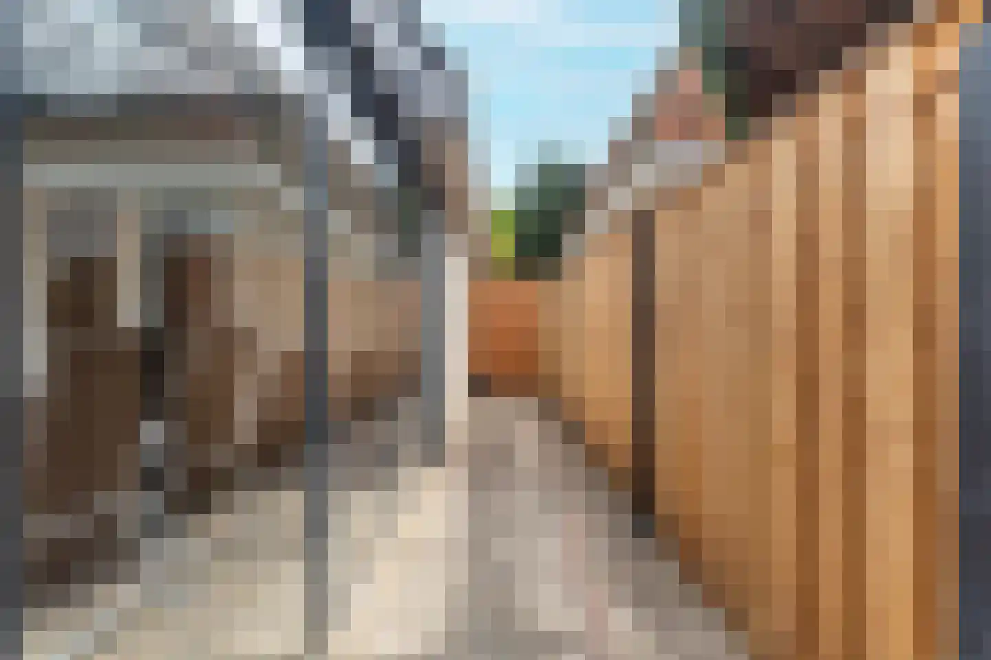 Westerweg 85 Heiloo thumbnail 36