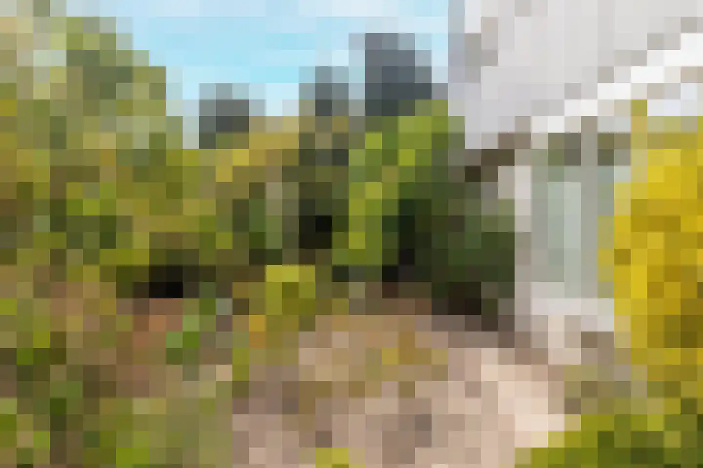 Westerweg 85 Heiloo thumbnail 38