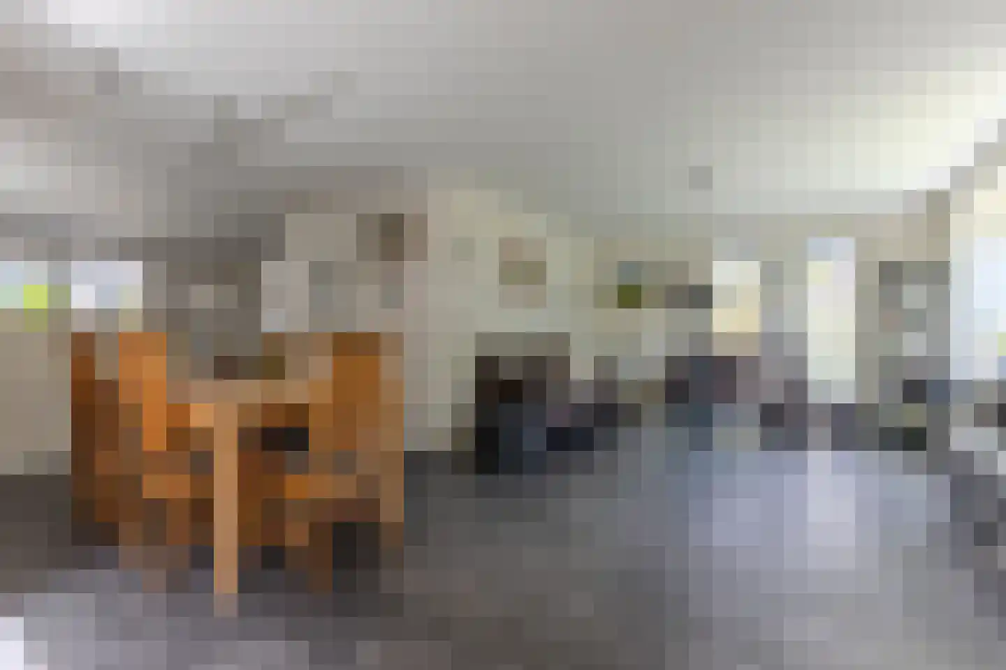 Westerweg 85 Heiloo thumbnail 4