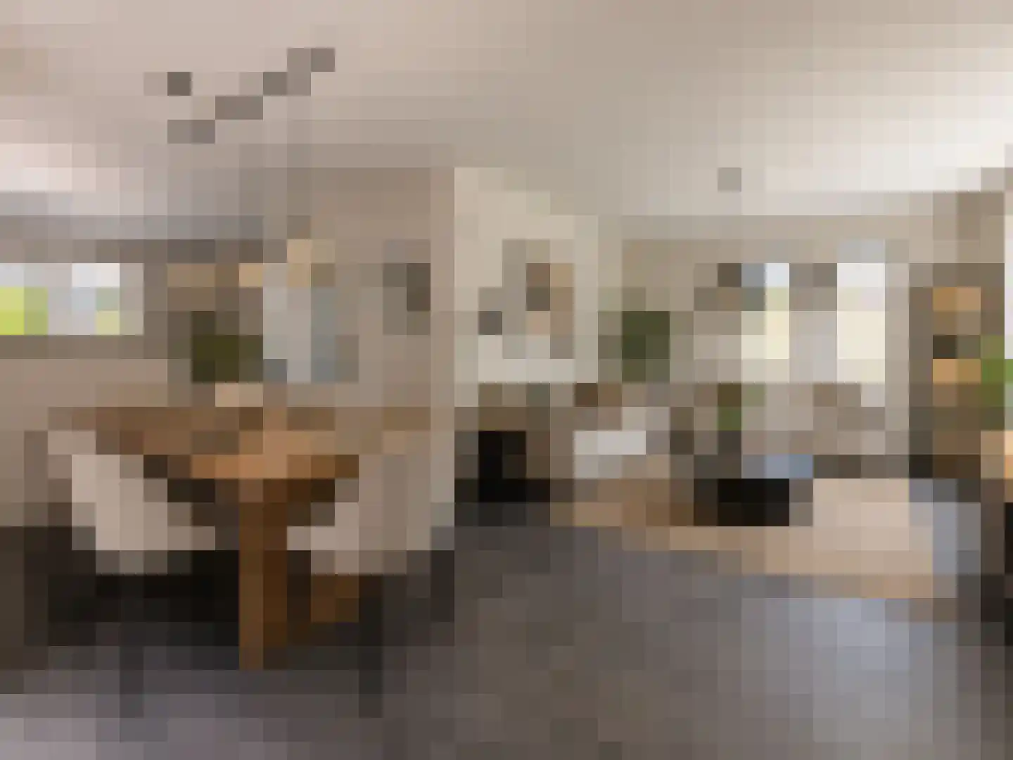Westerweg 85 Heiloo thumbnail 5