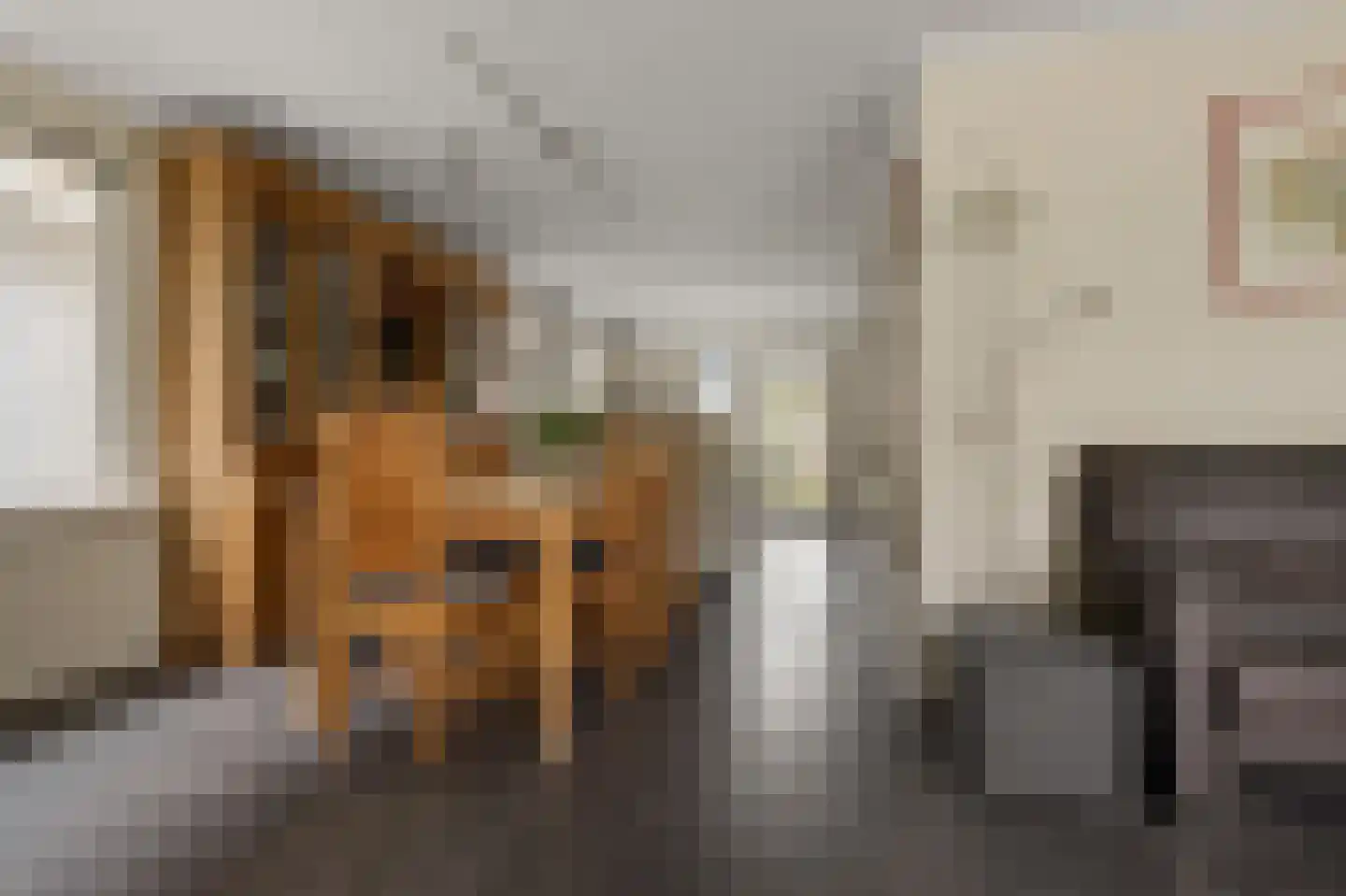 Westerweg 85 Heiloo thumbnail 8