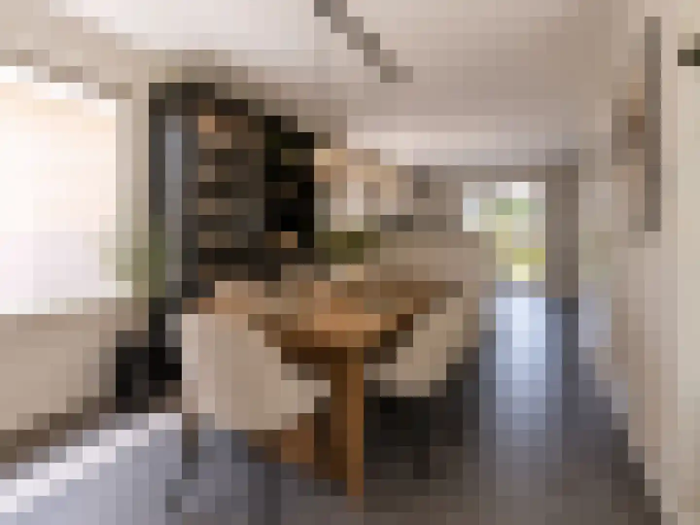 Westerweg 85 Heiloo thumbnail 9