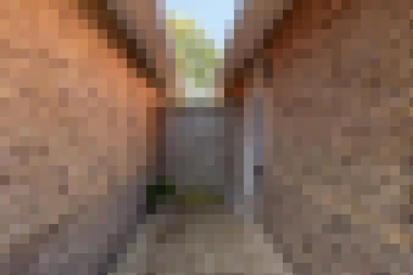 Westerweg 91 Heiloo thumbnail 30