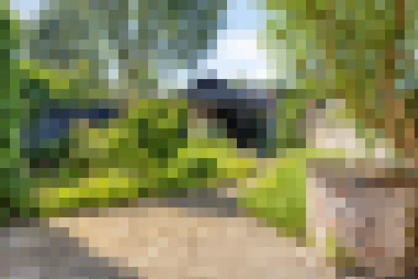 Westerweg 91 Heiloo thumbnail 4