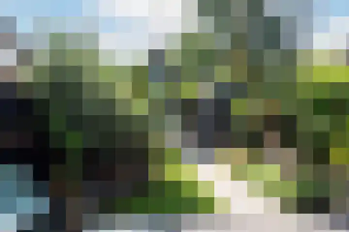 Westerweg 93 Heiloo thumbnail 34
