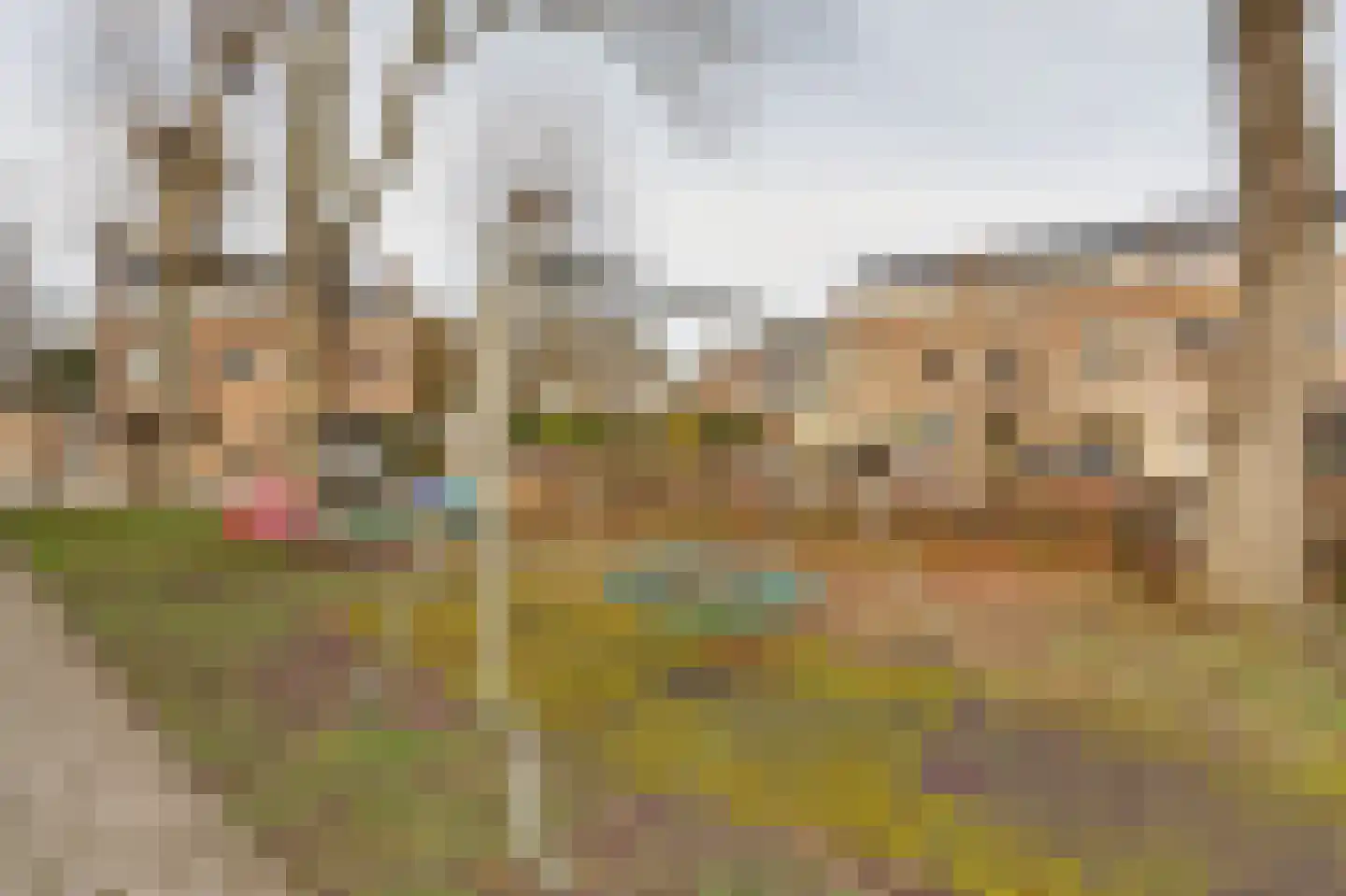 Westerwijk 19 Zwijndrecht thumbnail 41