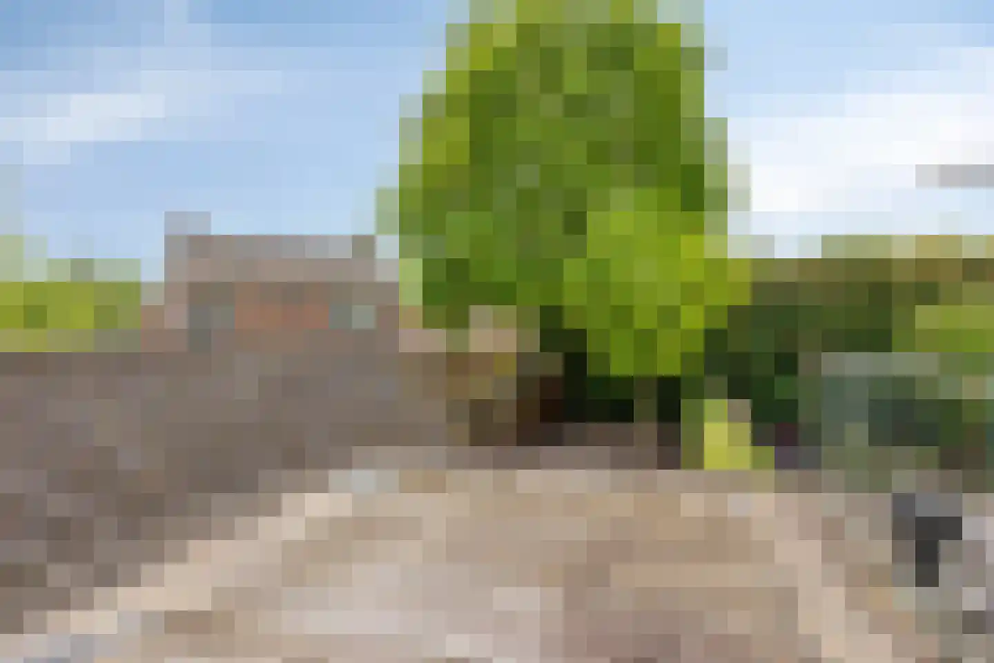 Westerwijk 40 Dalen thumbnail 32