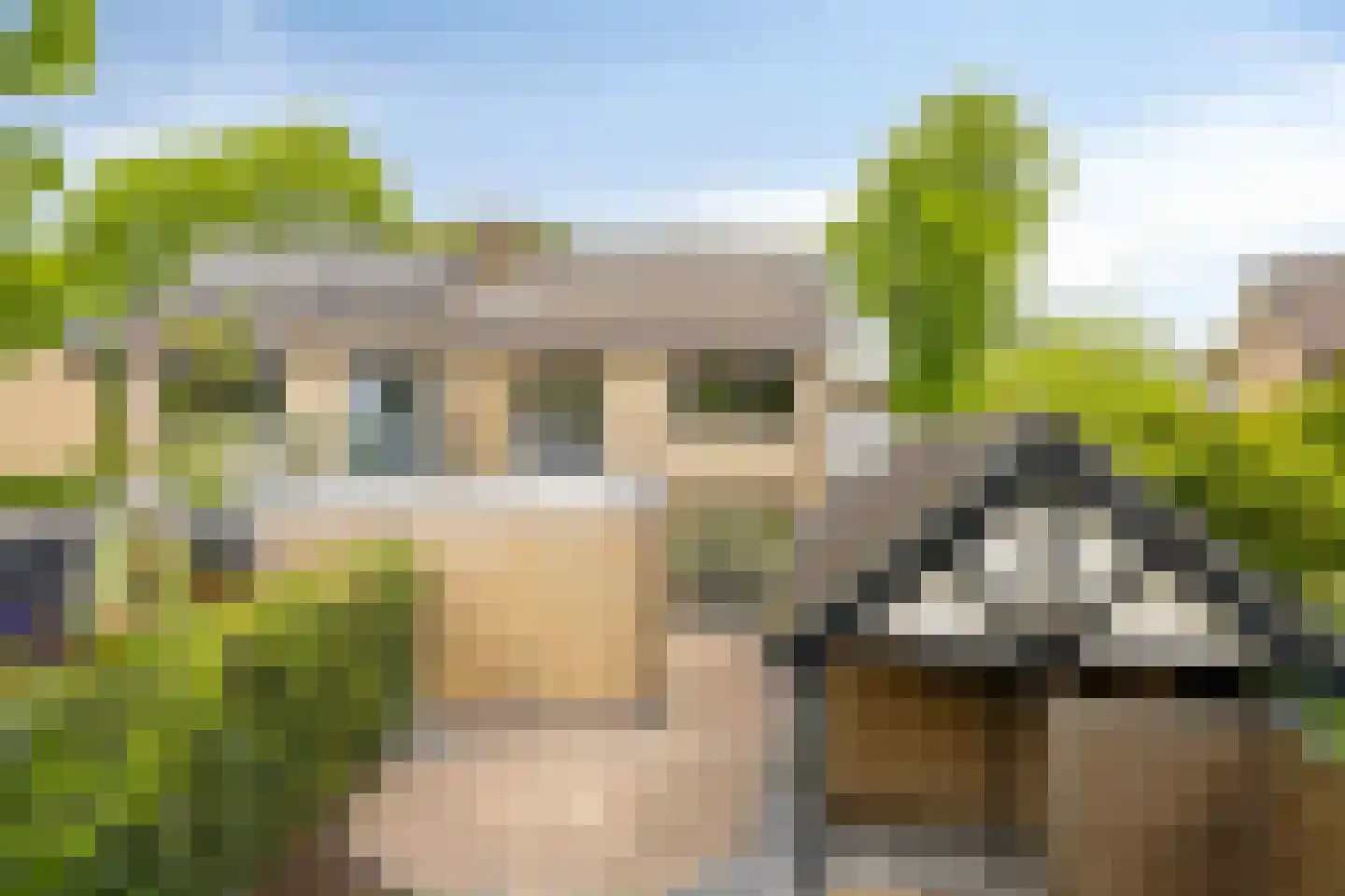 Westerwijk 40 Dalen thumbnail 37