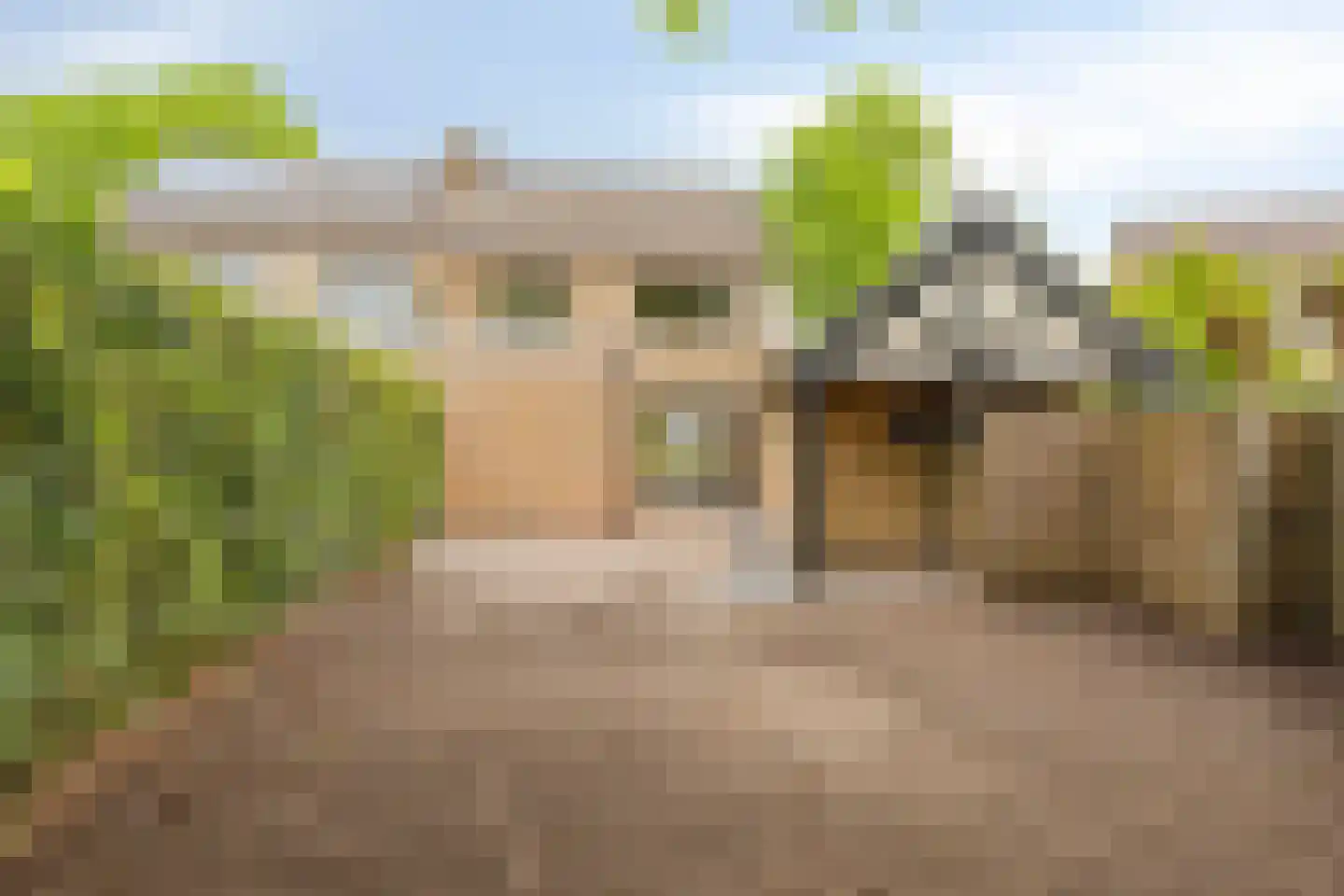 Westerwijk 40 Dalen thumbnail 38