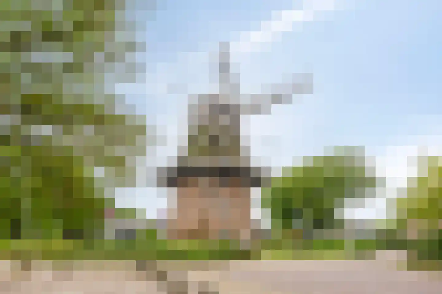 Westerwijk 40 Dalen thumbnail 45