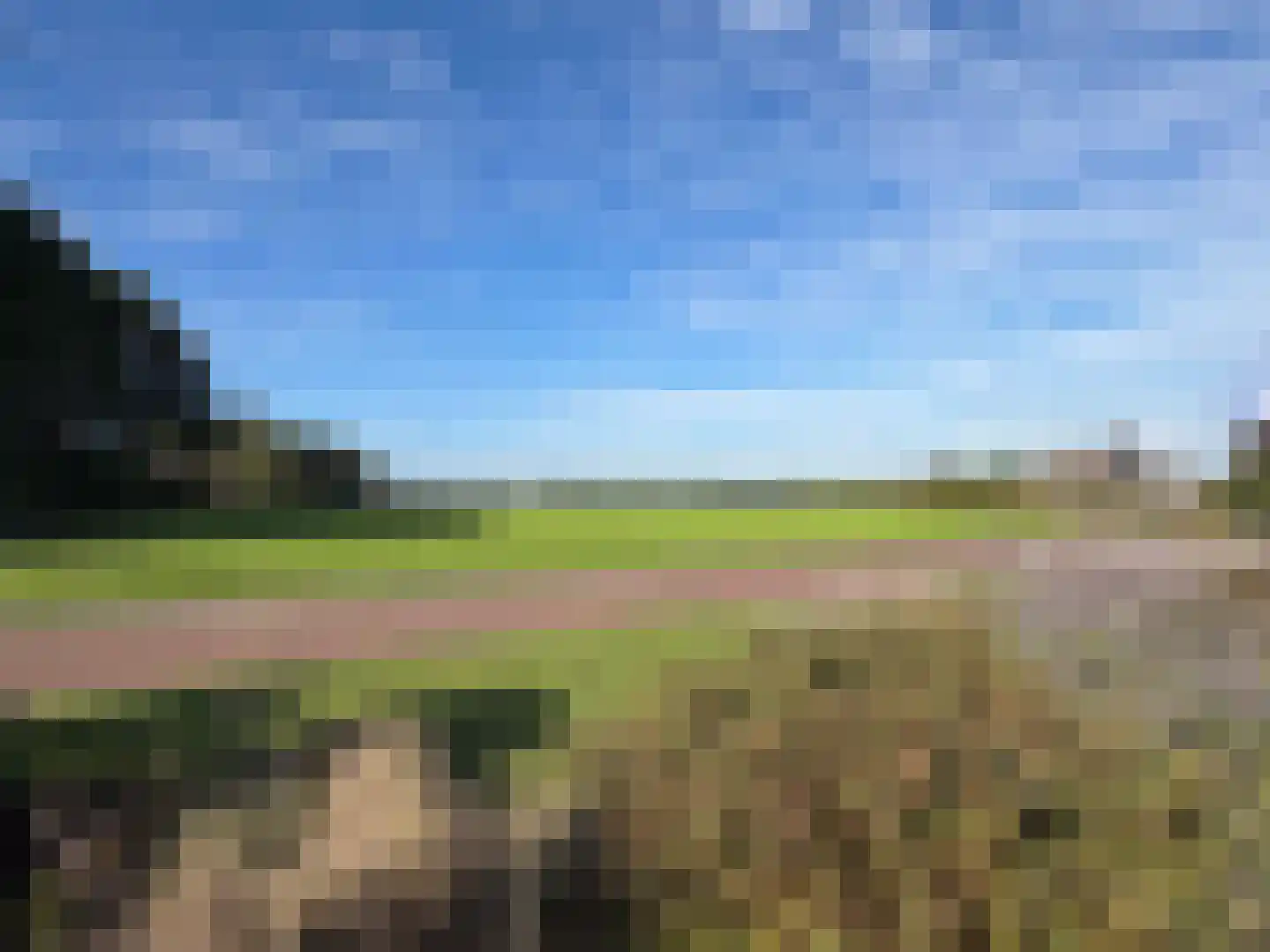 Westerwijk 53 Dalen thumbnail 12