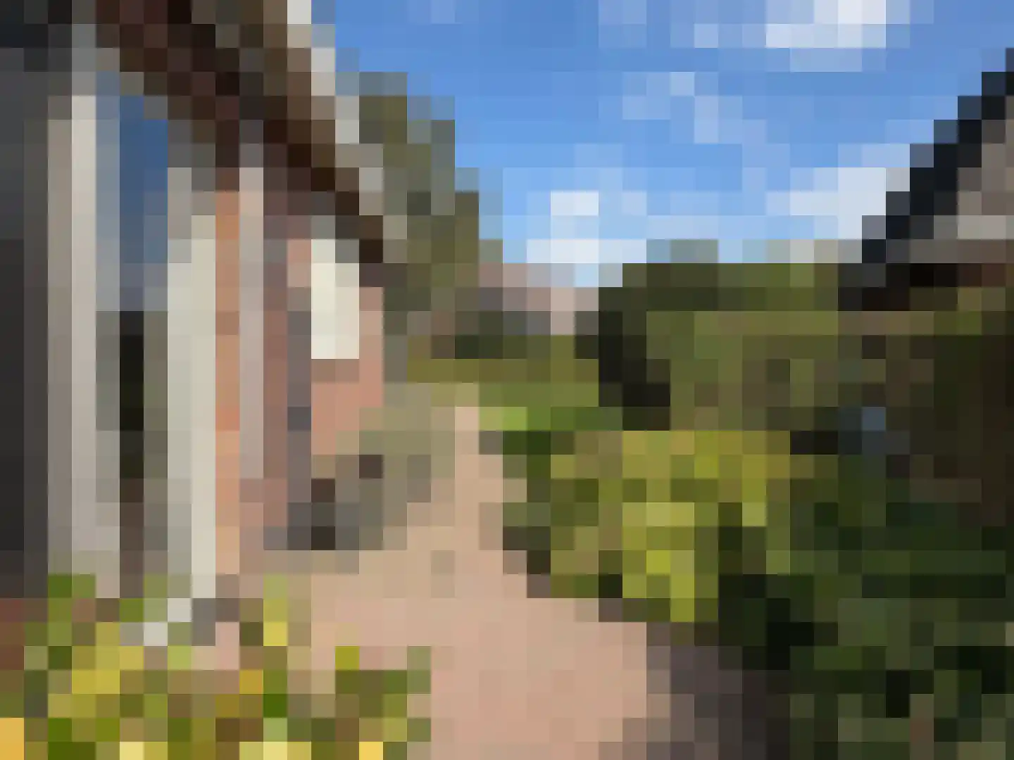 Westerwijk 53 Dalen thumbnail 15