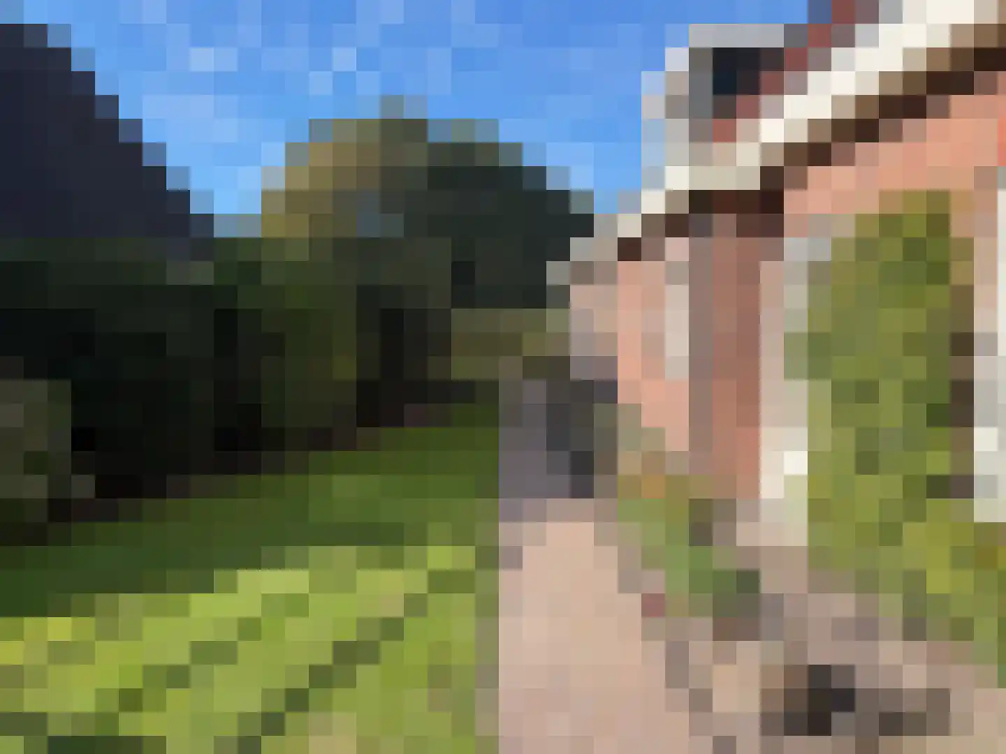 Westerwijk 53 Dalen thumbnail 31