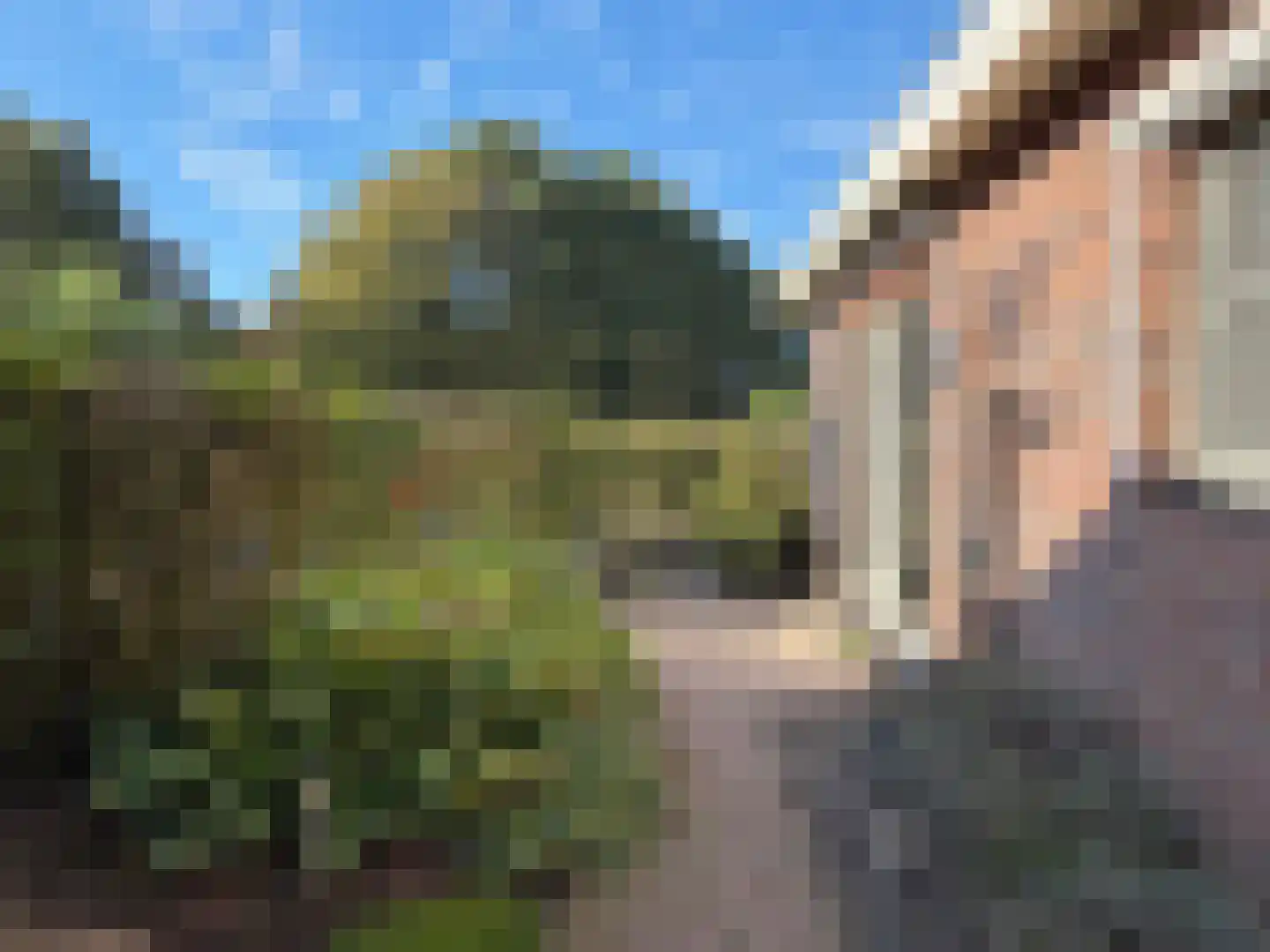 Westerwijk 53 Dalen thumbnail 32