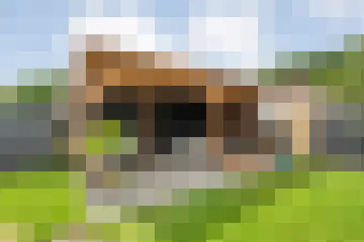 Westerwijk 70 Dalen thumbnail 41