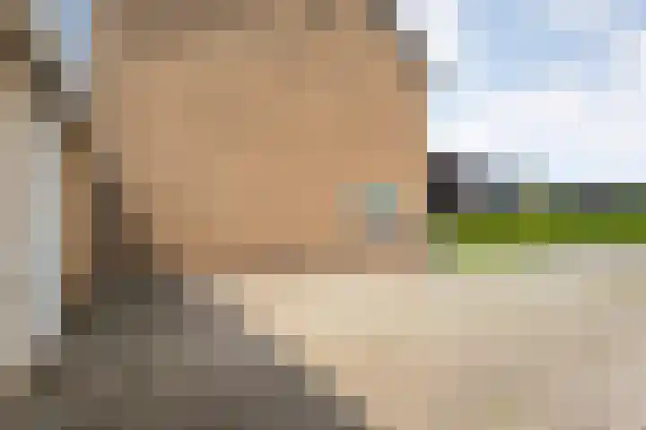 Westerwijk 70 Dalen thumbnail 43