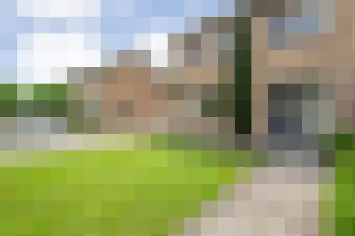 Westerwijk 70 Dalen thumbnail 5
