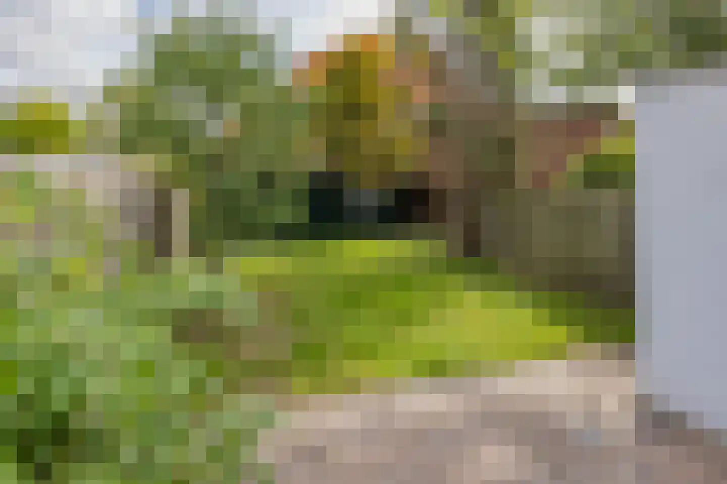 Westerwijkstraat 8 Velsen-Noord thumbnail 21