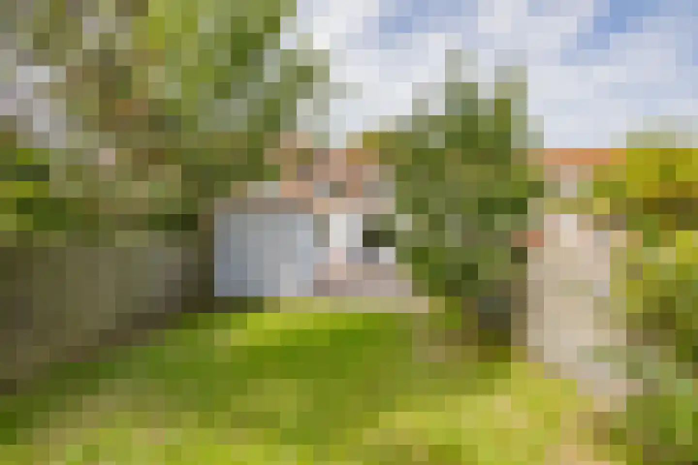 Westerwijkstraat 8 Velsen-Noord thumbnail 5
