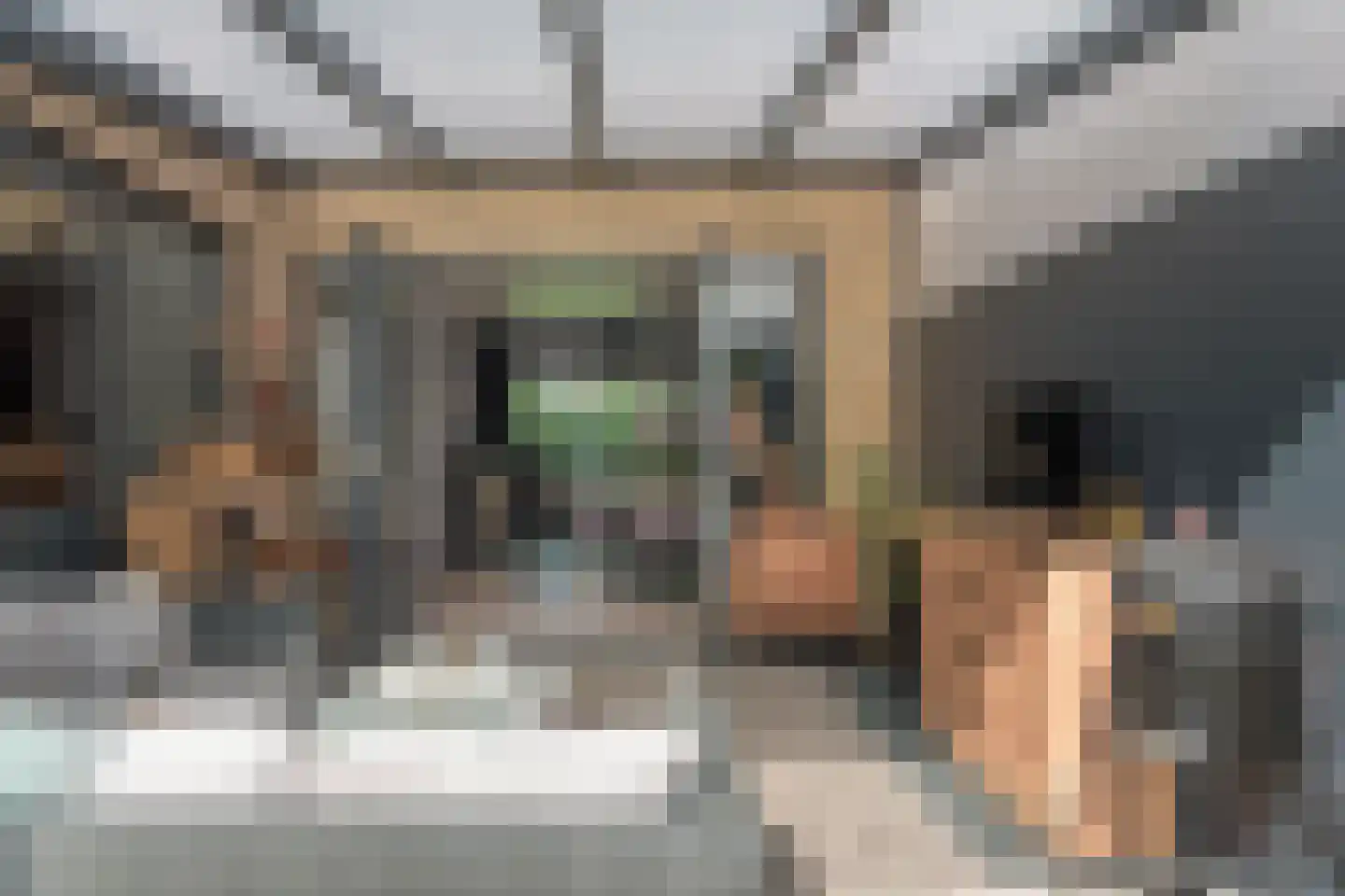 Westerwird 67 Drachten thumbnail 24
