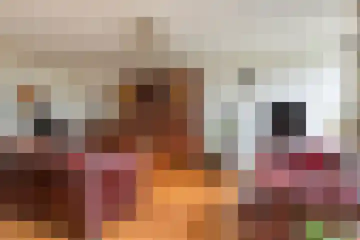 Westerwolde 23 Emmeloord thumbnail 10