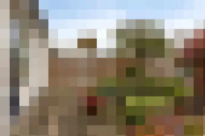 Westerwolde 23 Emmeloord thumbnail 31