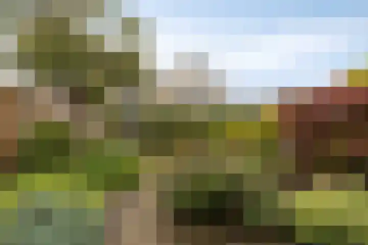 Westerwolde 23 Emmeloord thumbnail 32