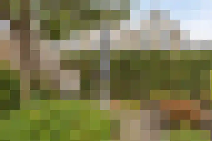 Westerwolde 23 Emmeloord thumbnail 33