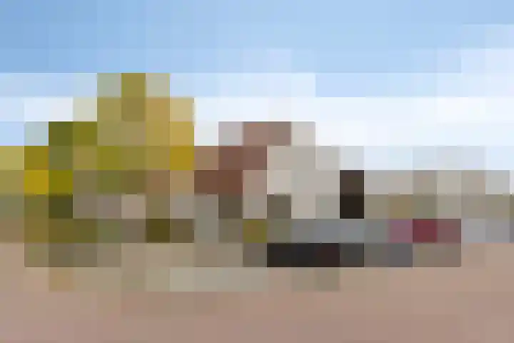 Westerwolde 23 Emmeloord thumbnail 35
