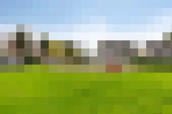 Westerwolde 23 Emmeloord thumbnail 37