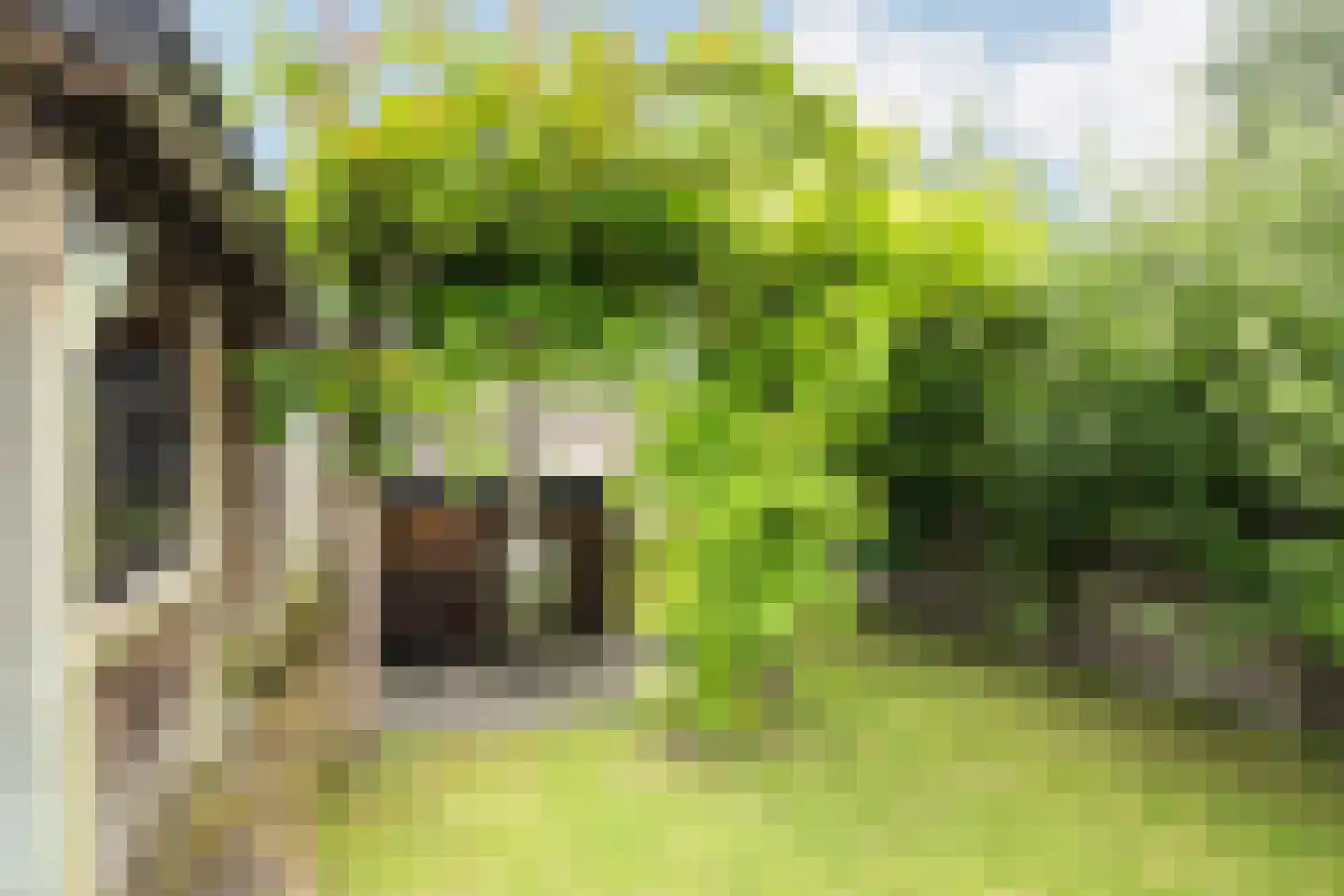 Westerwoud 151 Woudenberg thumbnail 47