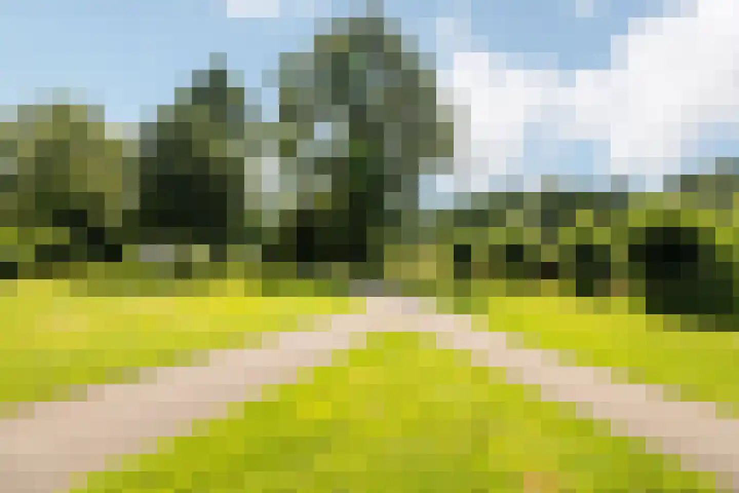 Westerwoud 151 Woudenberg thumbnail 50