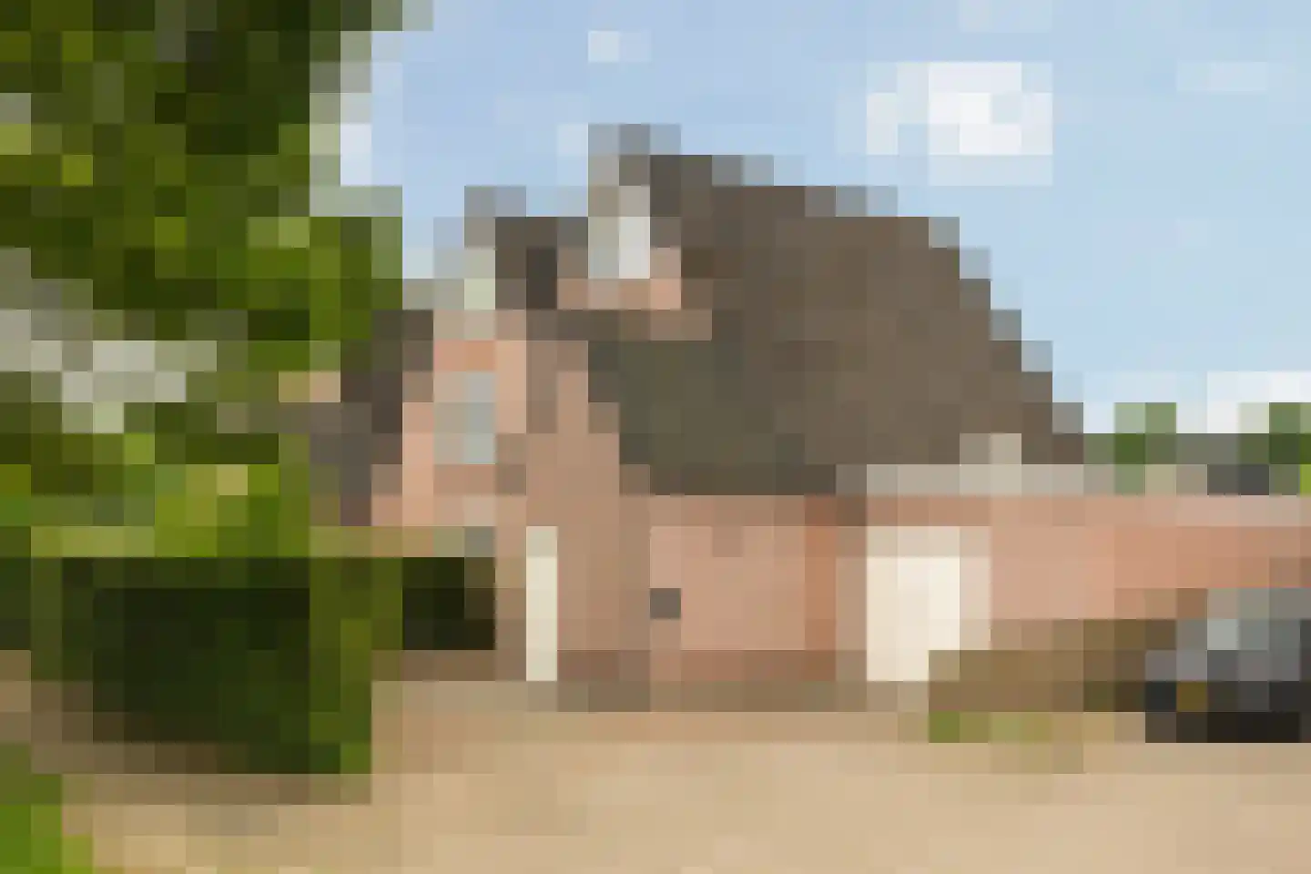 Westerwoud 151 Woudenberg thumbnail 7
