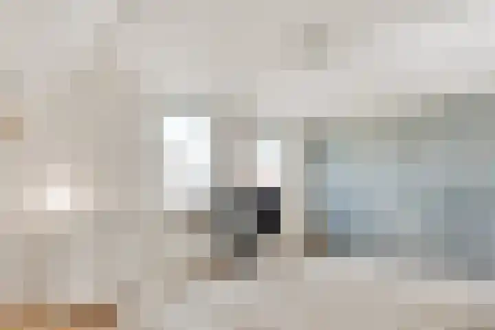Westerwoud 17 Woudenberg thumbnail 33