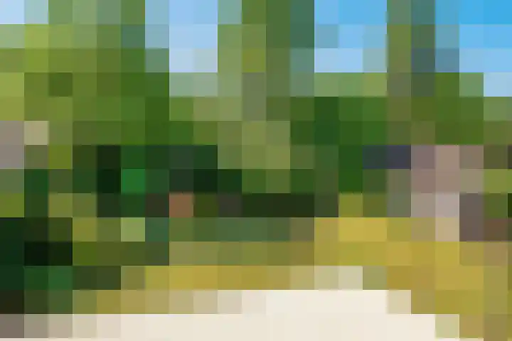 Westerwoud 17 Woudenberg thumbnail 40