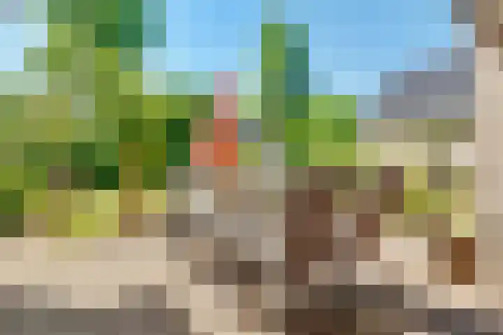 Westerwoud 17 Woudenberg thumbnail 51