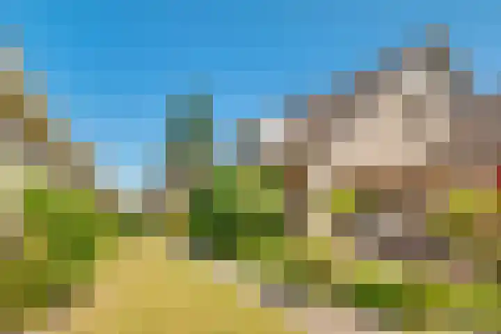 Westerwoud 17 Woudenberg thumbnail 55