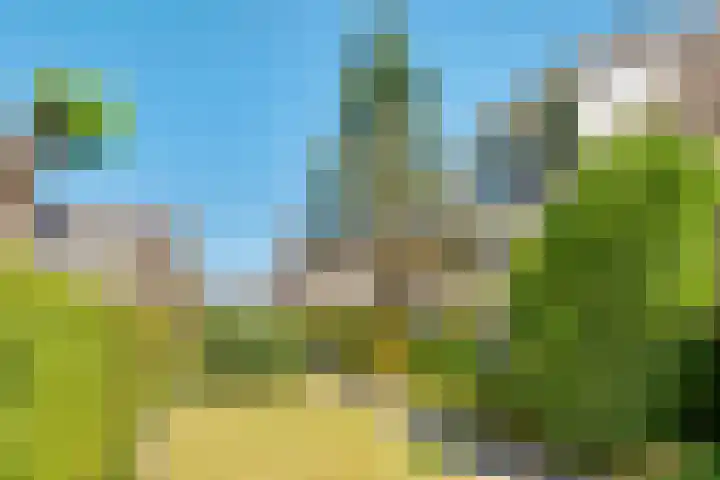 Westerwoud 17 Woudenberg thumbnail 57