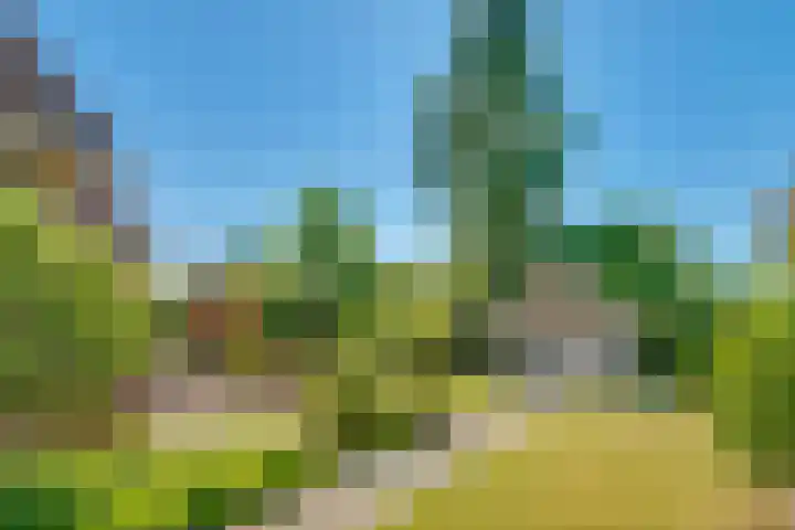 Westerwoud 17 Woudenberg thumbnail 59