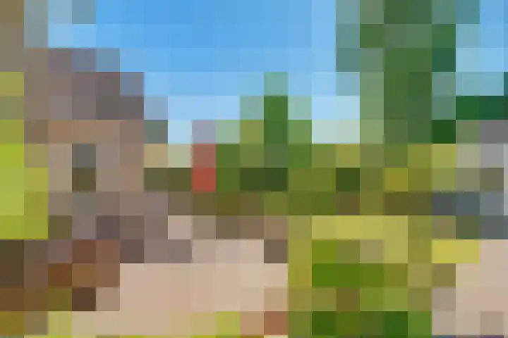 Westerwoud 17 Woudenberg thumbnail 60