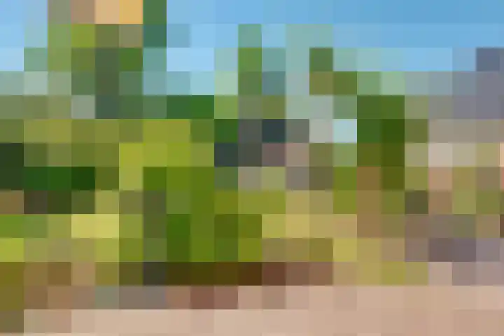 Westerwoud 17 Woudenberg thumbnail 62