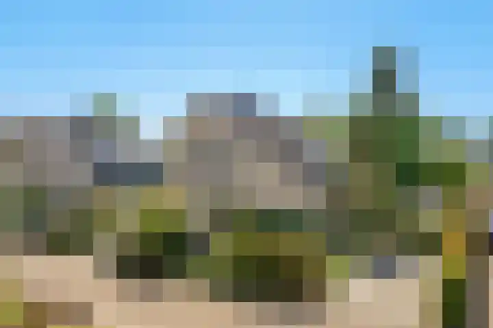 Westerwoud 17 Woudenberg thumbnail 63