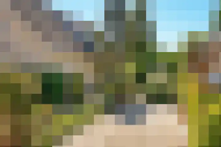 Westerwoud 17 Woudenberg thumbnail 64