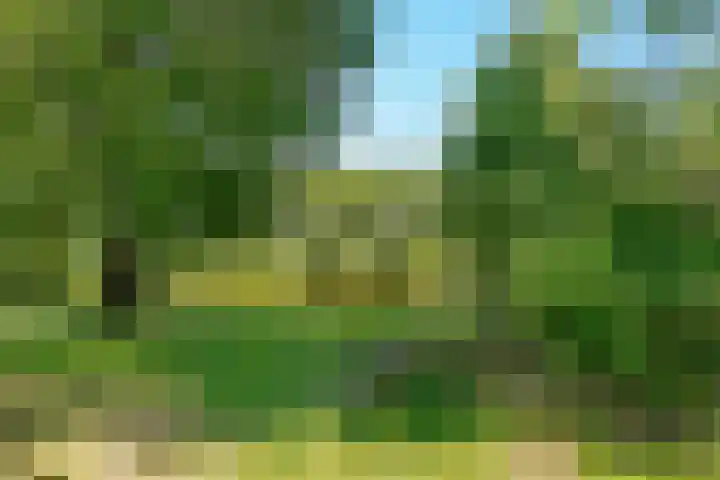 Westerwoud 17 Woudenberg thumbnail 65