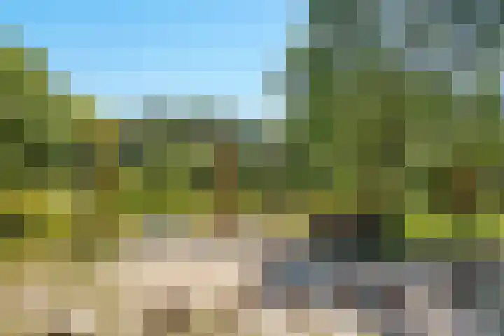 Westerwoud 17 Woudenberg thumbnail 66